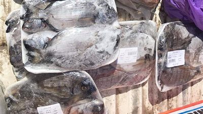 ضبط 112 كيلو لحوم منتهية الصلاحية في دمياط (صور)