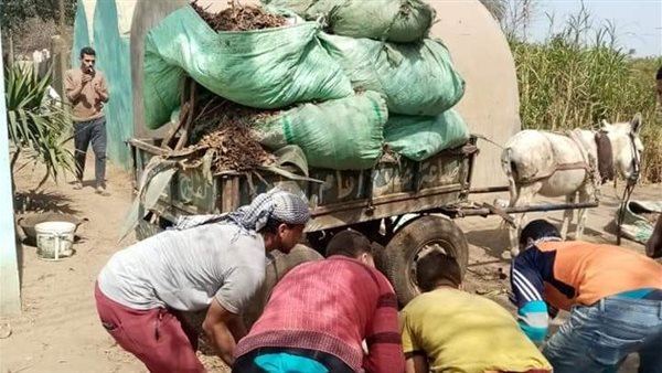 شباب قرية كفر الحصة