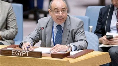 مندوب مصر يقدم إحاطة لمجلس الأمن حول الأوضاع في البحيرات العظمى