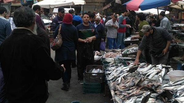 ارتفاع أسعار الأسماك