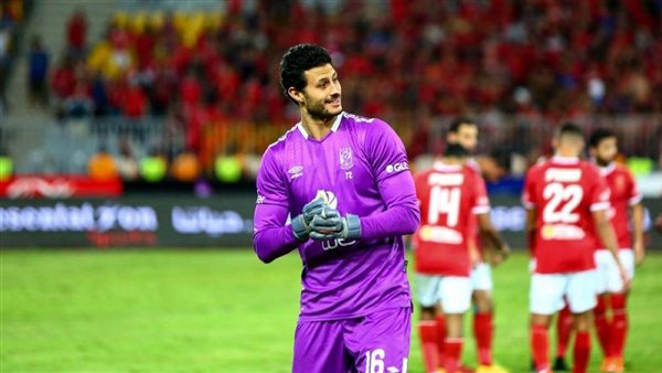 محمد الشناوي