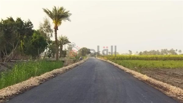 رصف الطرق بالمنيا