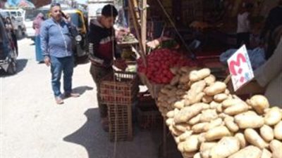 رئيس مدينة المراغة بسوهاج يتابع سير معرض 