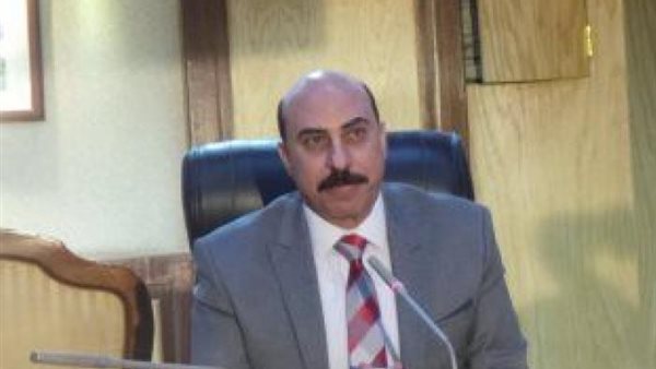 المنسق العام للمبادرة