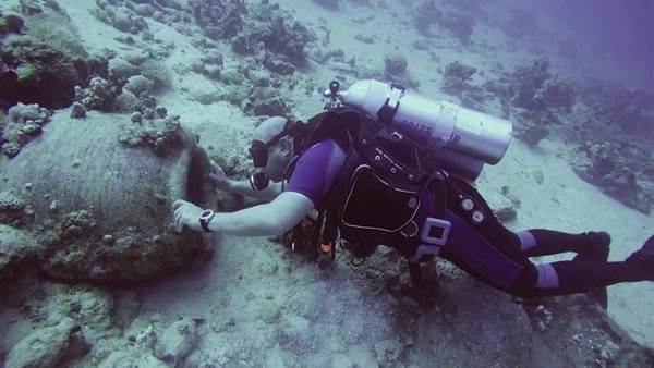 رحلة البحث عن السفينة