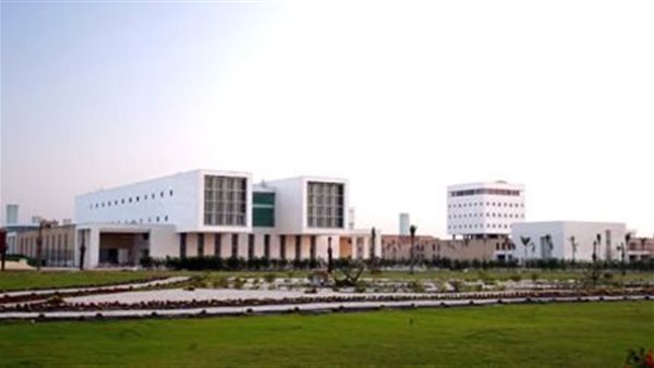 الجامعة المصرية اليابانية