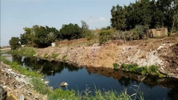 انتشار الناموس والبعوض