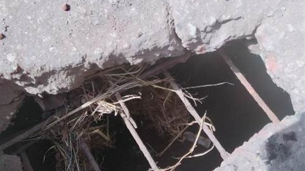 انهيار كوبري بقرية