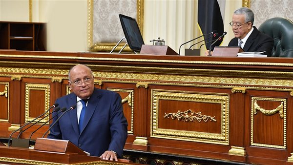 سامح شكري  وزير الخارجية