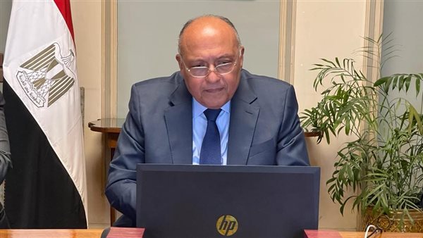 سامح شكري وزير الخارجية