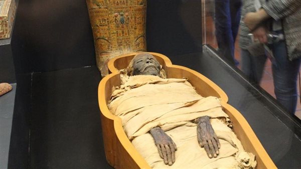 مومياء- أرشيفية