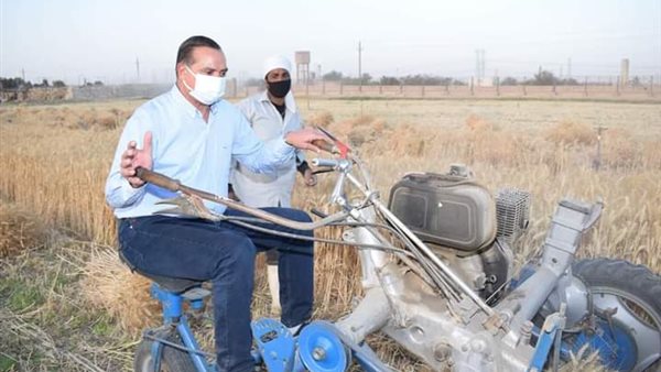 موسم حصاد القمح