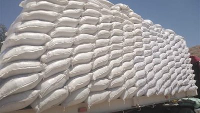 ضبط 35 طن ملح طعام غير صالح للاستهلاك الآدمي بسوهاج                                               