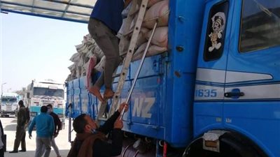 محافظ بني سويف: استلام 639 طن قمح بالصوامع في اليوم الأول لموسم التوريد 