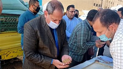 تموين المنيا: توريد ألف و500 طن قمح إلى الصوامع والشون حتى الآن