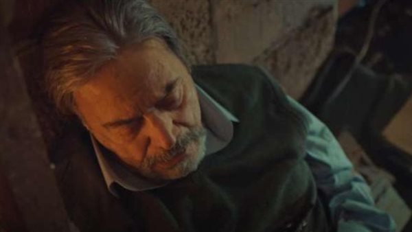 يوسف شعبان في ملوك