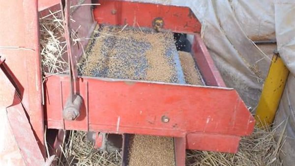 توريد 661 طن قمح