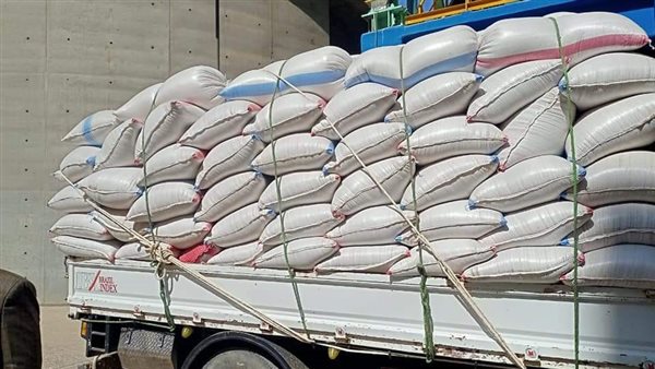 توريد القمح بالمنيا