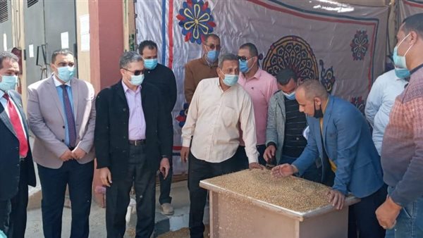 جانب من توريد القمح