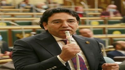 برلماني يطالب الحكومة بخطة للقضاء على الأمية الرقمية