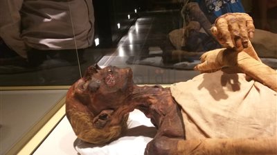 مدير مخزن المومياوات: نتابع قاعة العرض يوميًا بمختلف الأجهزة 