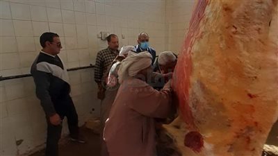 رئيس مدينة ملوي: إعدام 300 كيلو لحوم مصابة بمرض 