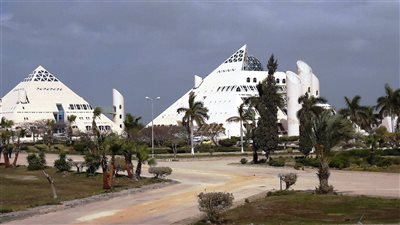 مدير الأبحاث العلمية: حصلنا على 3 جوائز للدولة التشجيعية تسهم في صحة الإنسان 