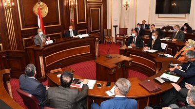  وزير الري: قدمنا 15 سيناريو لملء وتشغيل سد النهضة.. والتعنت الإثيوبي سبب فشل المفاوضات