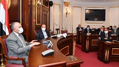 وزير الري: مصر ساهمت في إنشاء العديد من السدود ومشروعات المياه في دول حوض النيل 