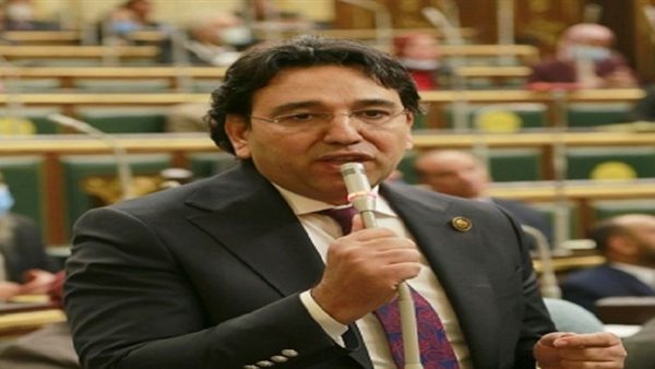 أيمن محسب عضو مجلس