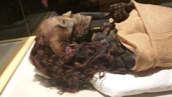 المومياوات الملكية