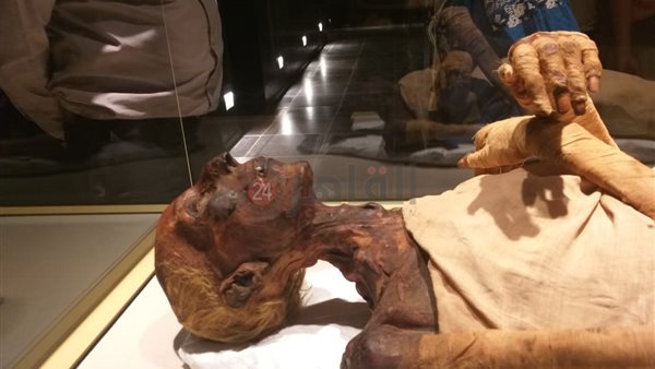 قاعة المومياوات الملكية