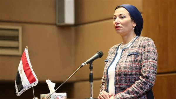 ياسيمن فؤاد وزيرة