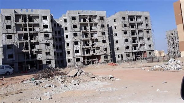 مشروع أشجار سيتي