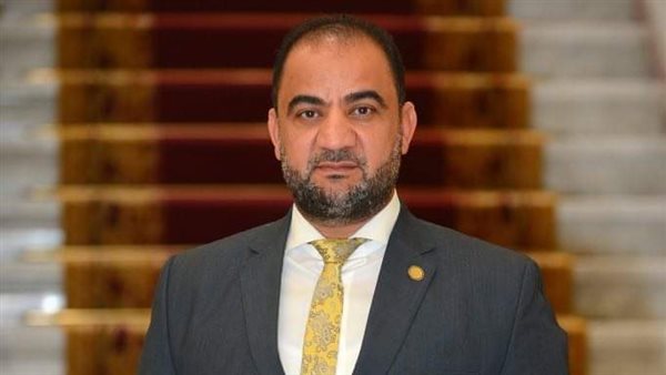 النائب حاتم عبدالعزيز