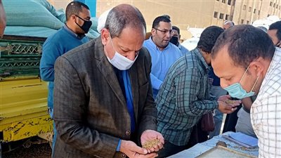 توريد 4 آلاف و500 طن من الأقماح إلى صوامع المنيا