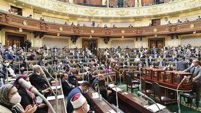 بعد رفض الشيوخ.. نائبة تطالب بدراسة مجتمعية بشأن قانون التعليم