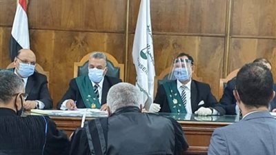 الإدارية العليا توقف باحثًا عن العمل 6 أشهر لاشتراكه في مظاهرة سياسية