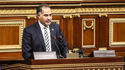 قانون لمواجهة الشائعات.. وكيل النواب: “قررنا نبقى زي دول بتحاسب اللي بيهزر”