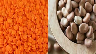 استثناء الواردات السلعية من الغطاء النقدي الكامل.. تأمين للغذاء أم تدمير للزراعة؟