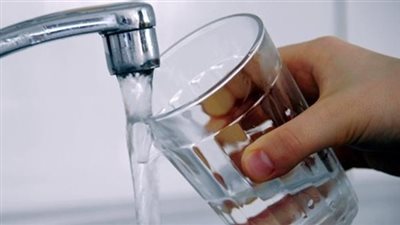 استشاري تغذية: الشاي الأخضر والقرفة والماء لا علاقة لهم بخسارة الوزن