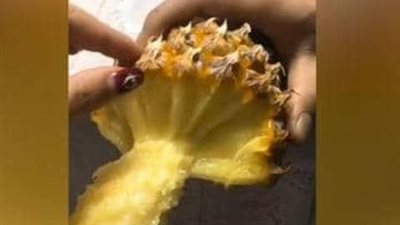 طريقة غير تقليدية لأكل “الأناناس” تثير الجدل على السوشيال ميديا (فيديو)