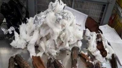 القصة الكاملة لإحباط تهريب عظام آدمية أثرية عبر مطار القاهرة