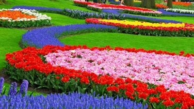 تعرف على الموعد الرسمي لانتهاء فصل الشتاء وأهم ظواهر الربيع