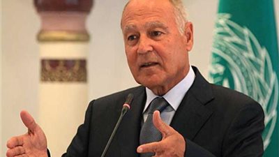 أبو الغيط: الدماء المصرية والإسرائيلية سقطت في صدام مسلح حقيقي