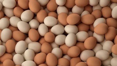 مليون و80 ألف بيضة مصرية تغزو البحرين