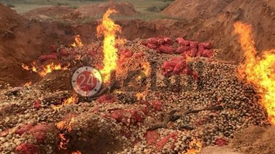 خاص.. مصدرون عن واقعة حرق البصل المصري: الليبيون حرقوه بدون تحاليل