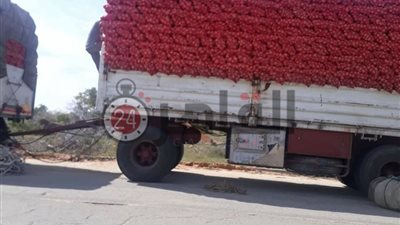 لفك الحظر على البصل.. تفاصيل زيارة وزير الزراعة ورئيس الحجر الزراعي للسعودية