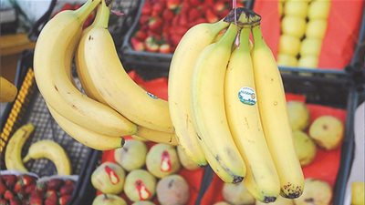 “في اليوم العالمي للموز”.. أشكال وألوان لا تتوقعها للثمرة (صور)