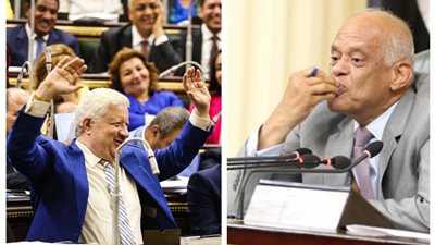 علي عبد العال لمرتضى منصور: أنا باحميك